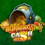 Burning Slots Cash Mesh slot logo by BF Games at Wonaco CasinoBurning Slots Cash Mesh